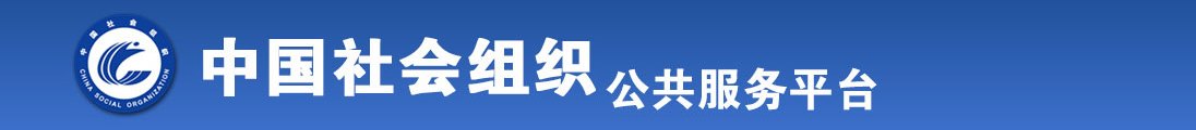 肏笔网站在线全国社会组织信息查询